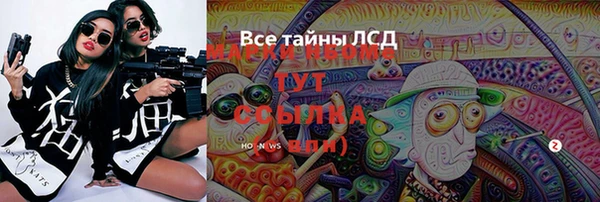spice Богданович