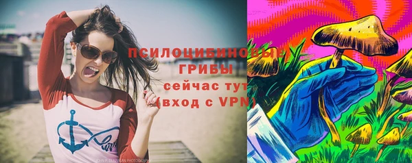 экстази Богородицк
