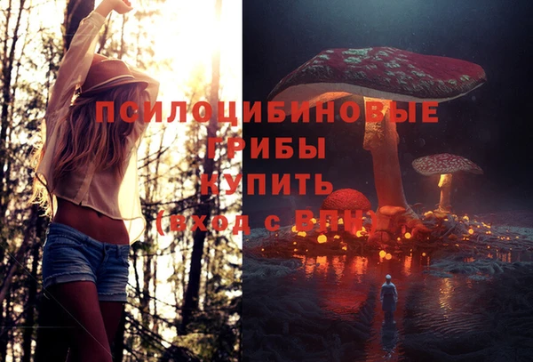 COCAINE Горно-Алтайск