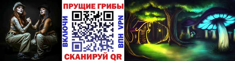 Купить  Ленинск  Псилоцибиновые грибы Cubensis 